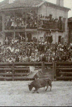 Imagen de Los clarines del miedo - 4