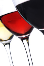 Imagen de Tierra de vinos - 4