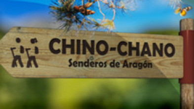 Imagen de Chino chano - 2