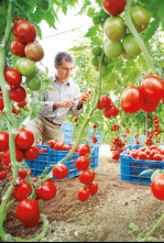 Imagen de Diario del campo - 4