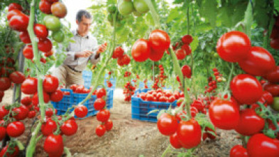 Imagen de Diario del campo - 5