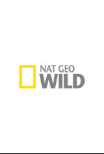 Imagen de La naturaleza más extraña  - 4