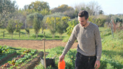 Imagen de El huerto de Renato - 5