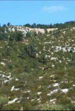 Imagen de Xarxa Natura: Riera de Merlès - 4