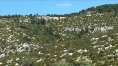 Imagen de Xarxa Natura: Riera de Merlès - 5
