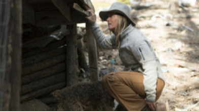 Imagen de Sobrevivir en lo... (T7): Raney vuelve: regreso a Black Hills - 7