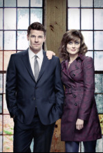 Imagen de Bones (T8): Ep.12 El cadáver en el dosel - 10