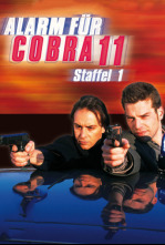 Imagen de Alerta Cobra (T20): Ep.14 Duelo en el bosque - 8