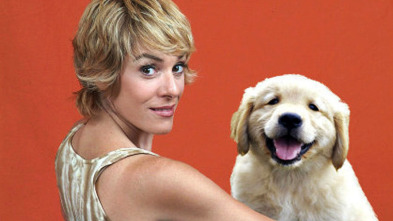 Imagen de Pelopicopata (T1): Ep.5 - 8