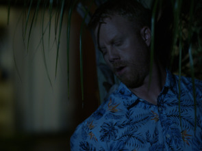 Imagen de Acosada en el paraíso - 2