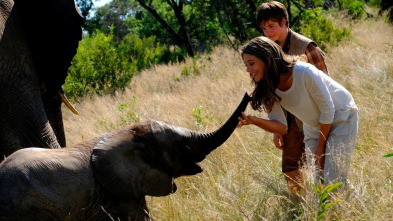 Imagen de Una aventura africana - 3