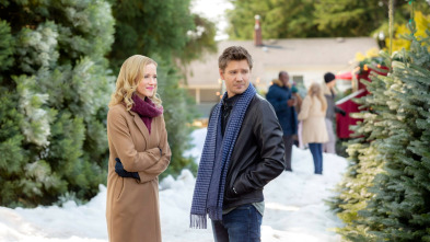 Imagen de Camino a la Navidad - 3