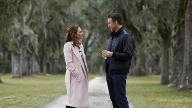 Imagen de Un amor para volar - 3