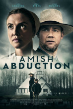 Imagen de El caso Amish - 2