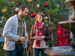 Imagen de La fuente de los deseos - 1