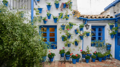 Arquitectura andaluza 