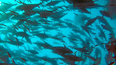 Imagen de Historias del agua - 3