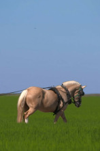 Imagen de Al sur del tiempo: Granada - 2