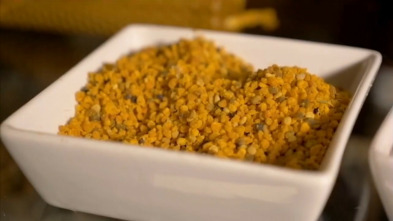 Imagen de Canal Andalucía Cocina - 3