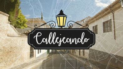 Imagen de Callejeando - 3