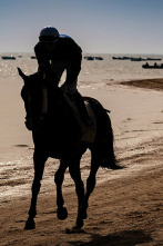 Imagen de Carreras de Caballos de Sanlúcar - 2