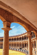 Imagen de Toros (T2025): Desde Navas de San Juan - 2