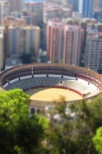 Imagen de Novillada (T2026): Desde Las Navas de San Juan - 2