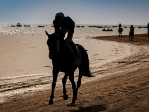 Imagen de Carreras de Caballos de Sanlúcar - 1
