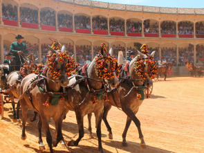Imagen de I Concurso Internacional de Enganches en Ronda - 1
