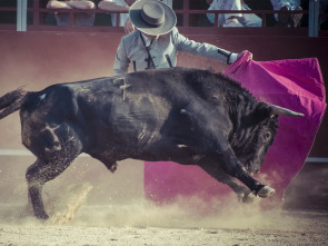 Imagen de Toros (T2026): Feria de abril: Miura para Manuel Escribano, Pepe Moral y Román - 1