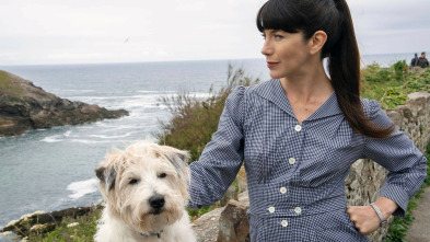 Imagen de Doc Martin (T9): Ep.2 La conmoción frente a lo nuevo - 3