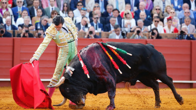Imagen de Feria de Sevilla - 3