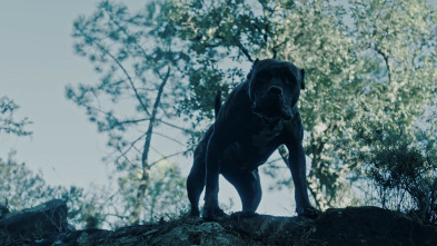 Imagen de Outside Is Free - 3