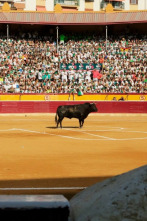 Imagen de Bous: Fira de la Albahaca de Huesca - 2