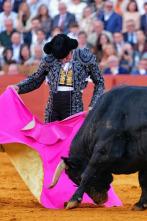 Imagen de Feria de Sevilla - 2