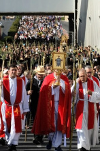 Imagen de Romeria de la Santa Faç - 2