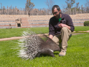 Imagen de Animalades, un món bestial - 1