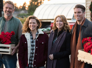 Imagen de Nadal entre les flors - 1