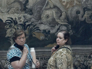 Imagen de Les visitants - 1