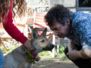 Imagen de El secret de Vicky - 1