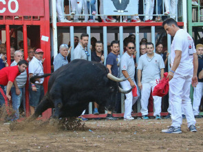 Imagen de Bous des d'Almassora - 1