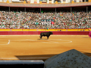 Imagen de Bous: Fira de la Albahaca de Huesca - 1