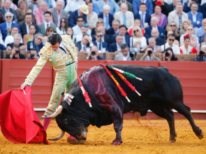 Imagen de Feria de Sevilla - 1