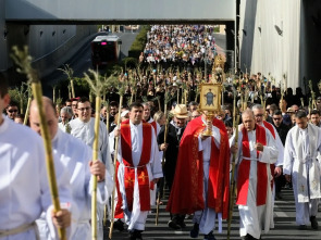 Imagen de Romeria de la Santa Faç - 1