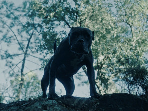 Imagen de Outside Is Free - 1