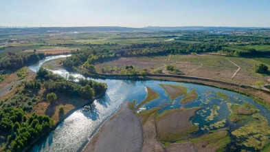Imagen de El Ebro, caminos del...: De Fontibre a Miranda de Ebro - 3