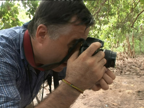 Imagen de Vidas minadas - 1