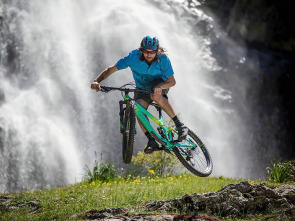 Imagen de Ara salvaje - 1