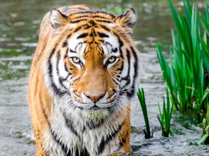 Imagen de Por todo lo alto - 1