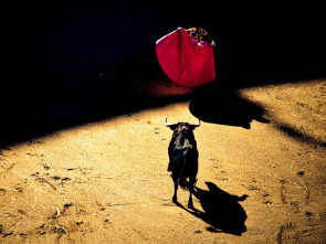 Imagen de Festival Taurino con Picadores en Ricla - 1
